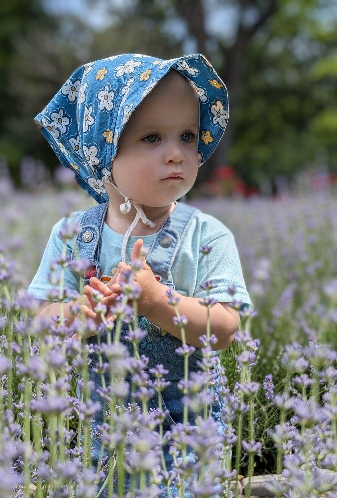 Photo #11496709