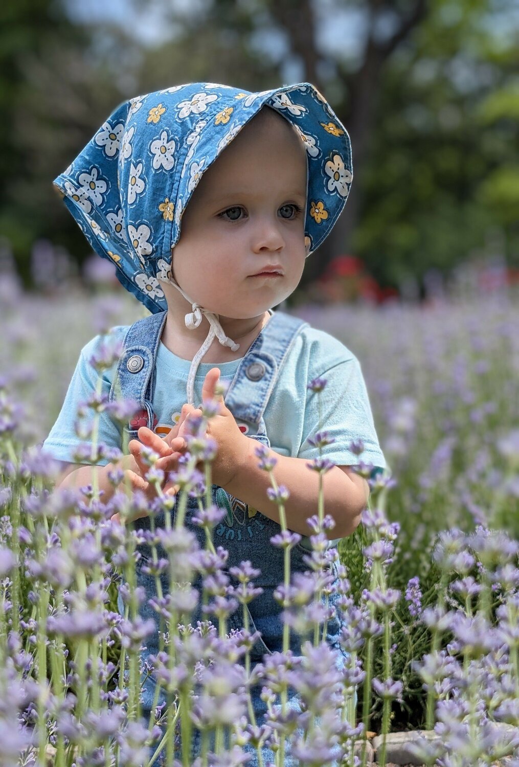 Photo #11496709