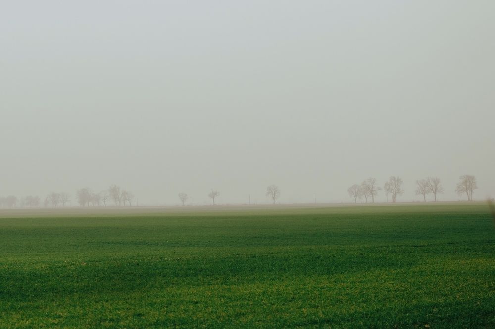 Photograph by Светлана