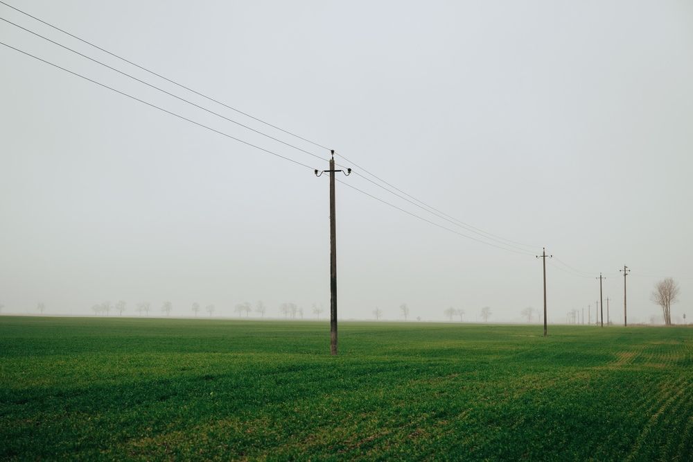 Photograph by Светлана