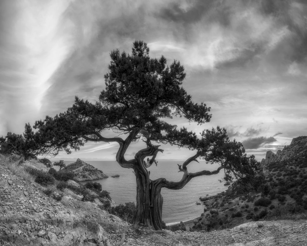 Фотография автора Дмитренко Екатерина