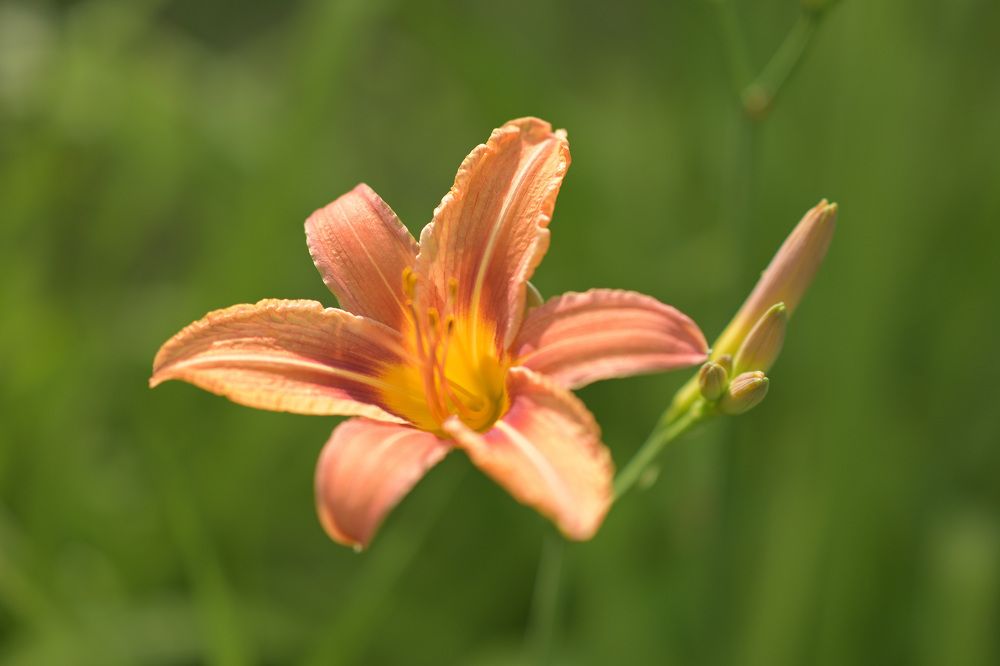 Photograph by Павел Юнусов