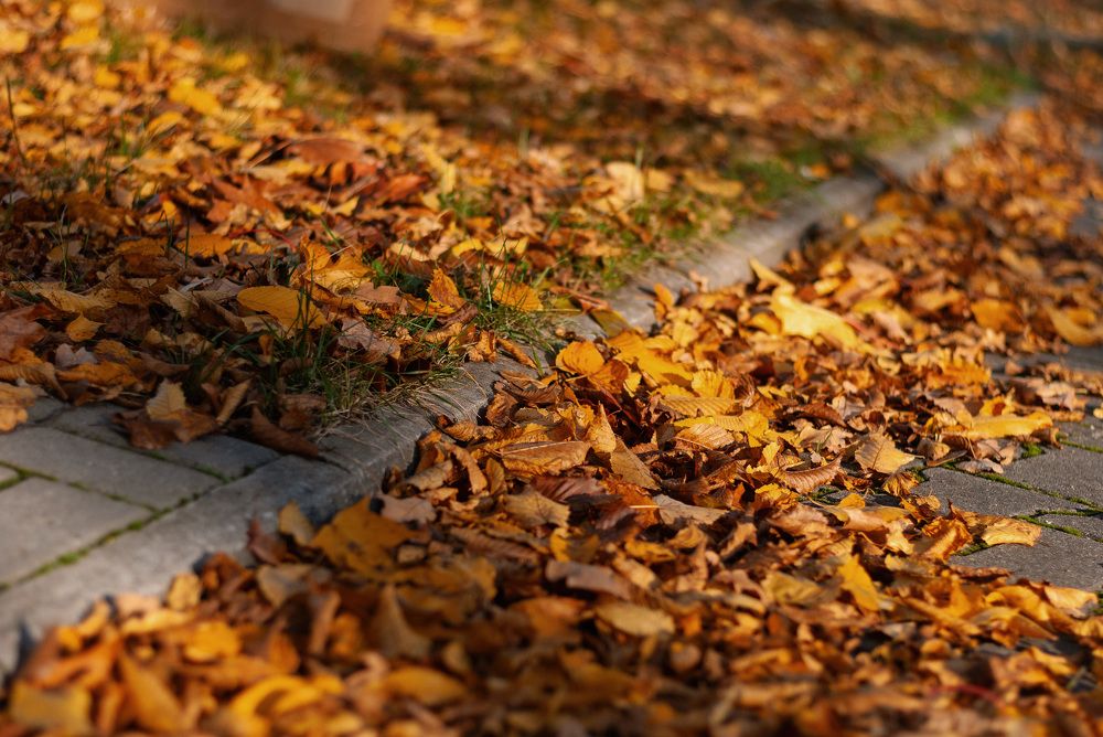 Photograph by Павел Юнусов