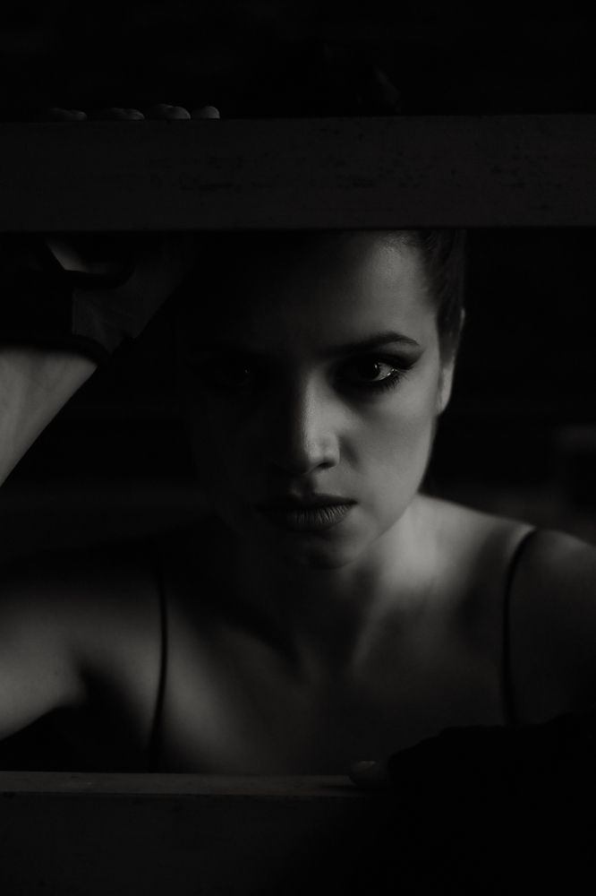 Сумрак (Twilight)