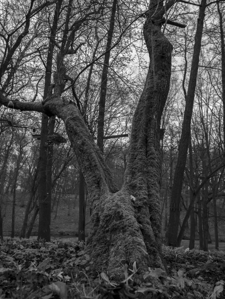 Photograph by Павел Юнусов