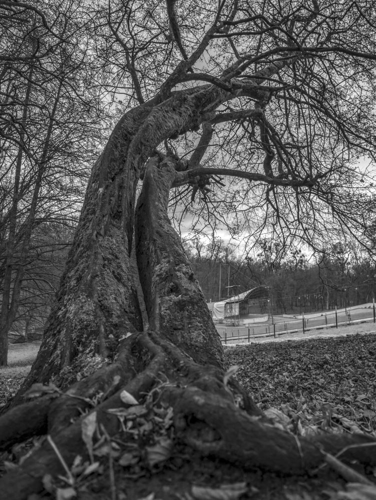 Photograph by Павел Юнусов