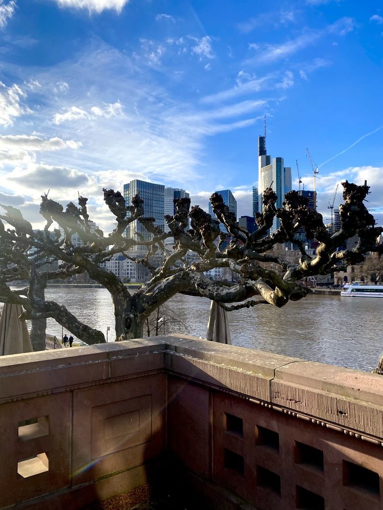 Photograph by Анастасия Тирская