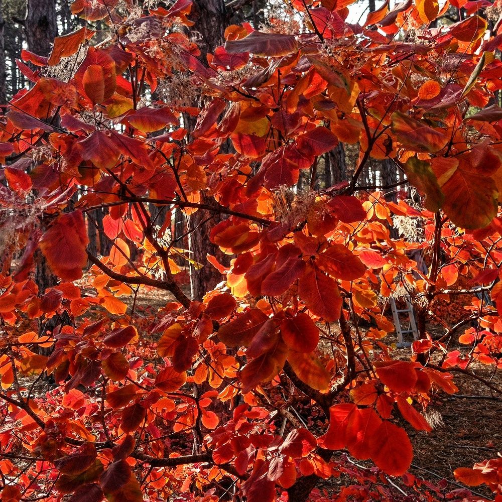 Photograph by Валентина Рябуха