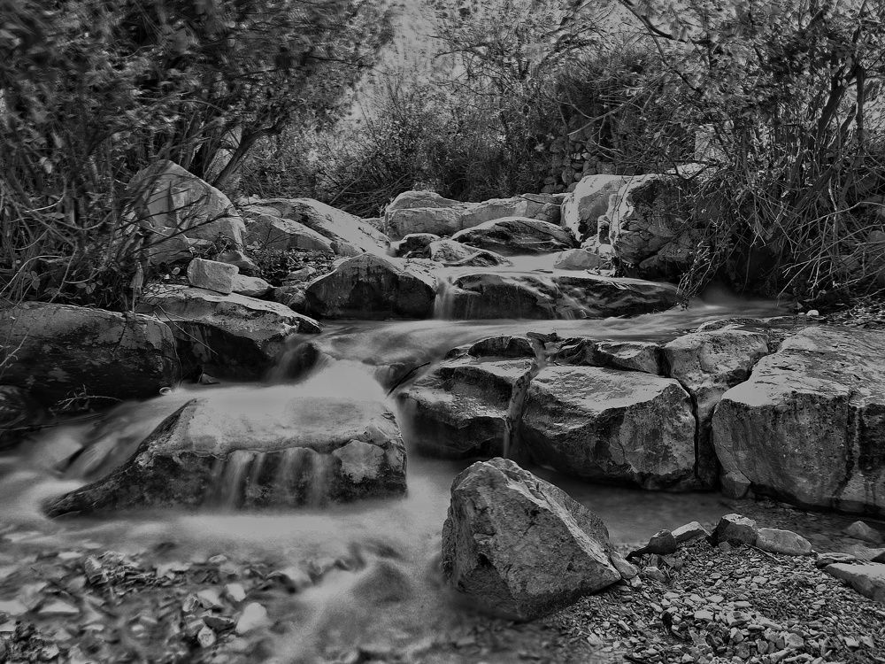 Photograph by Azzeddine Memmou