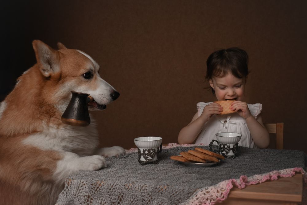 Фотография автора Алена Ковалёва