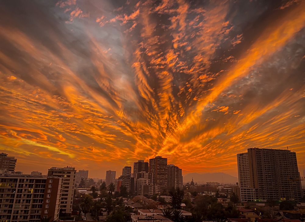 Photograph by German Cartaya
