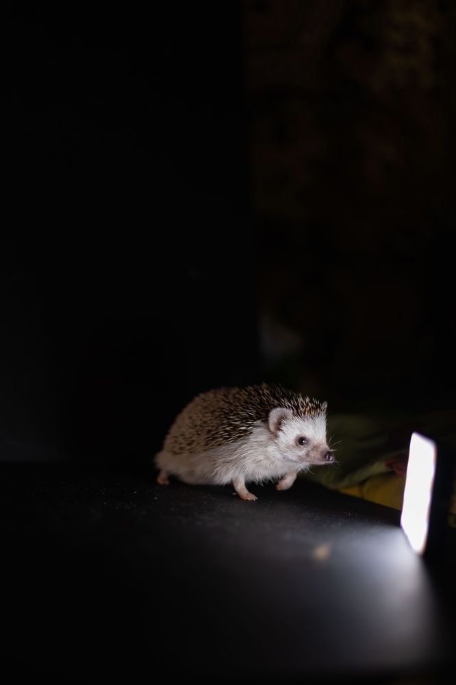 Photograph by Виктория Сивакова