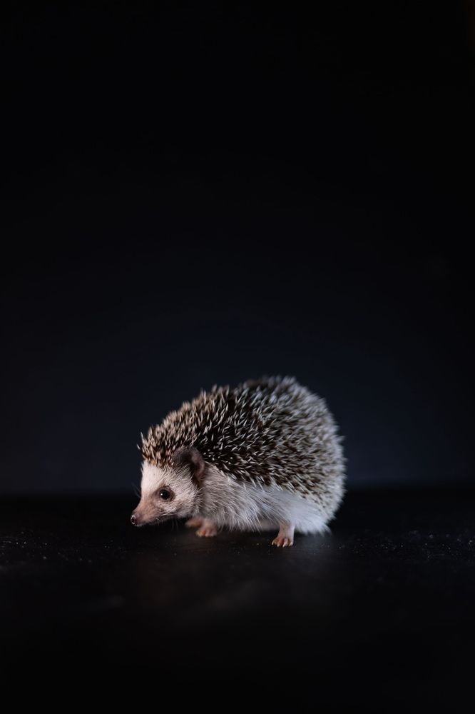 Photograph by Виктория Сивакова