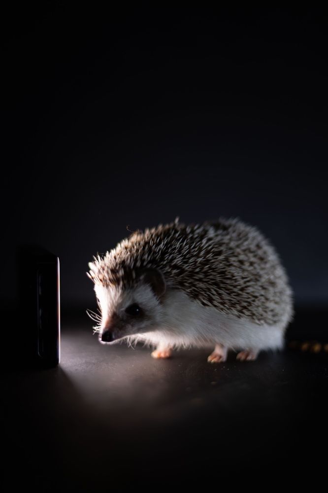 Photograph by Виктория Сивакова