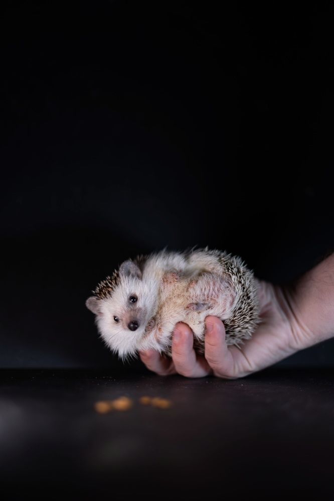 Photograph by Виктория Сивакова