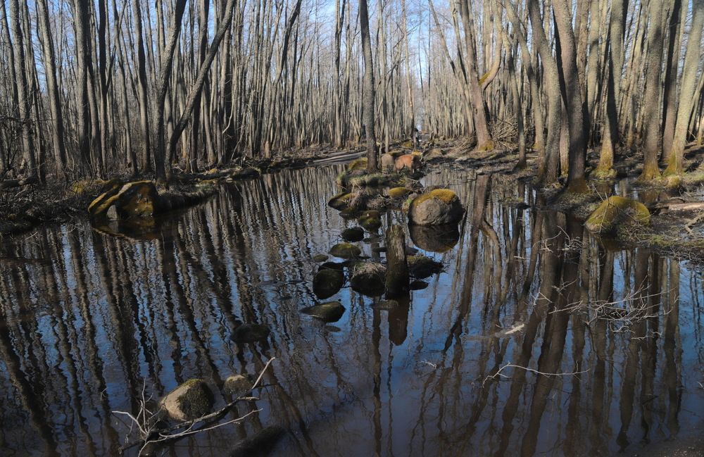 Photograph by Лада Денисова