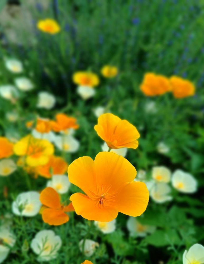 Photograph by Olga Kot