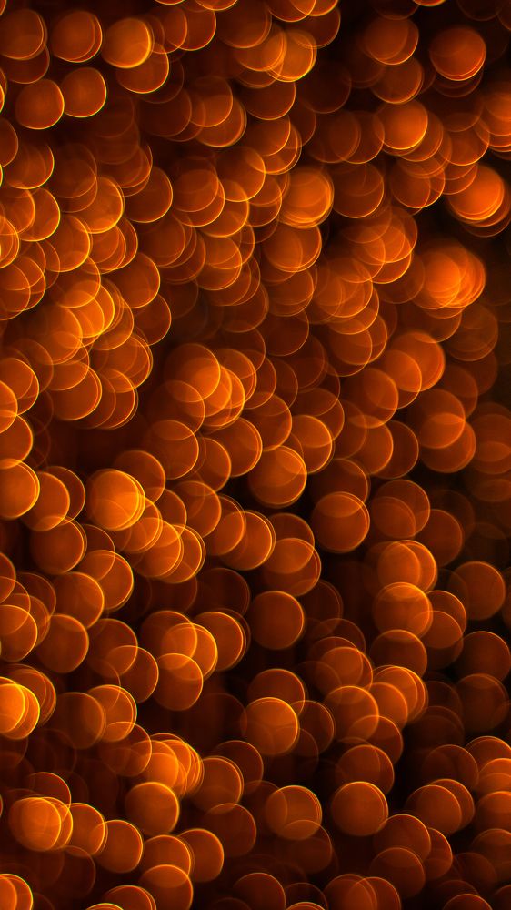 Photograph by Farshad Yazdankhah