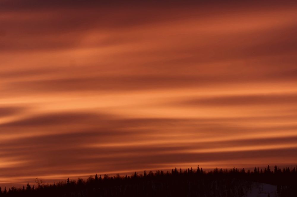 Photograph by Елизавета Нефедова