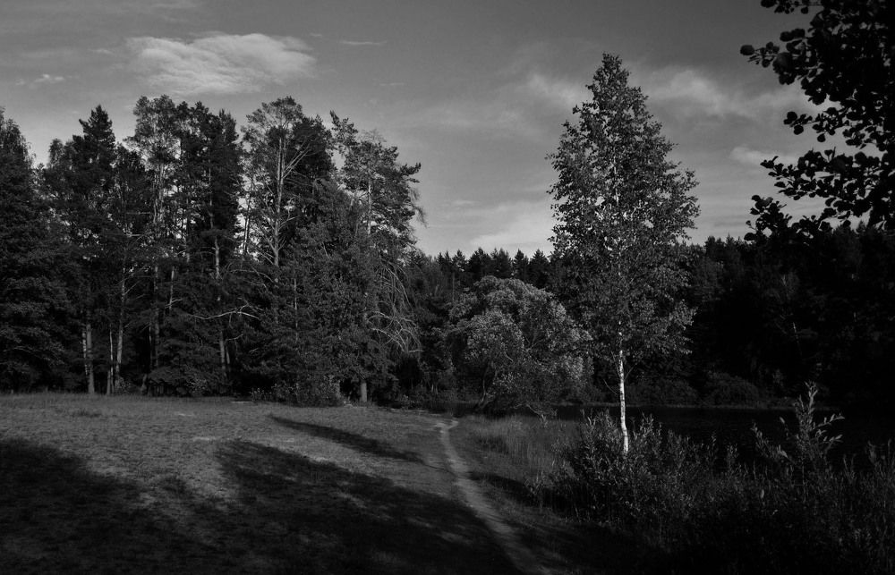 Photograph by Александр Зарх