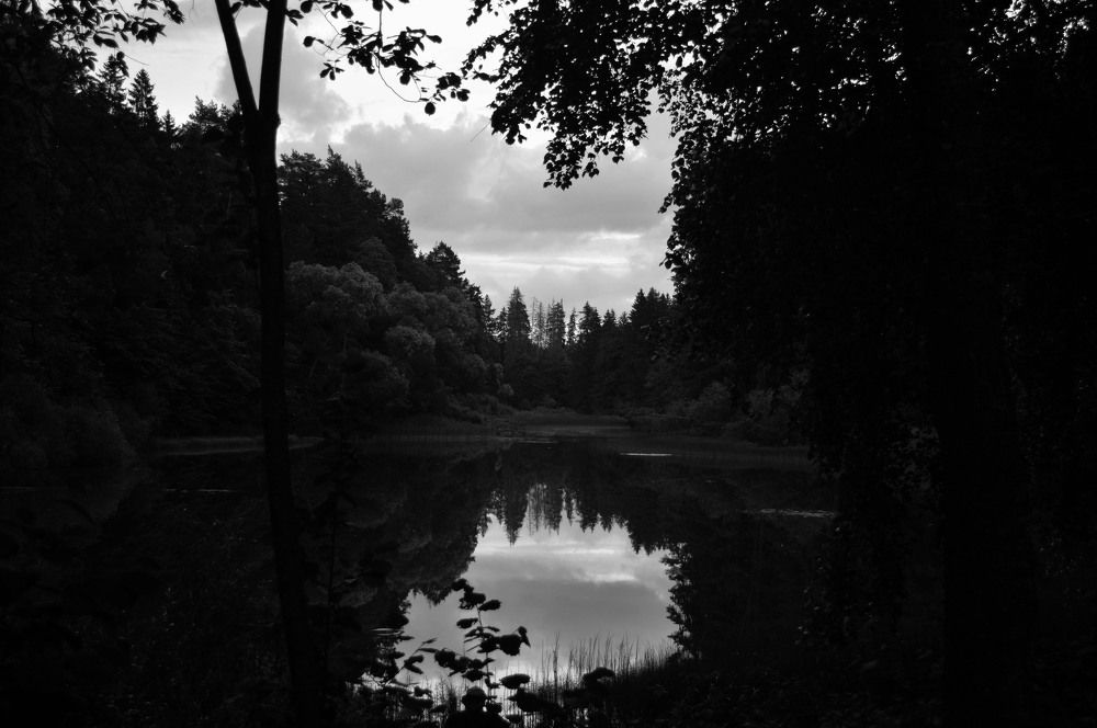 Photograph by Александр Зарх