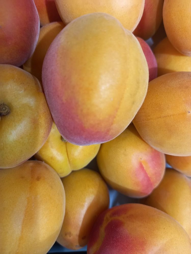 Фотография автора Nieves Gloria Alvarez Diaz