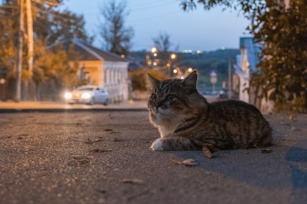 Photograph by Герман Корнеев