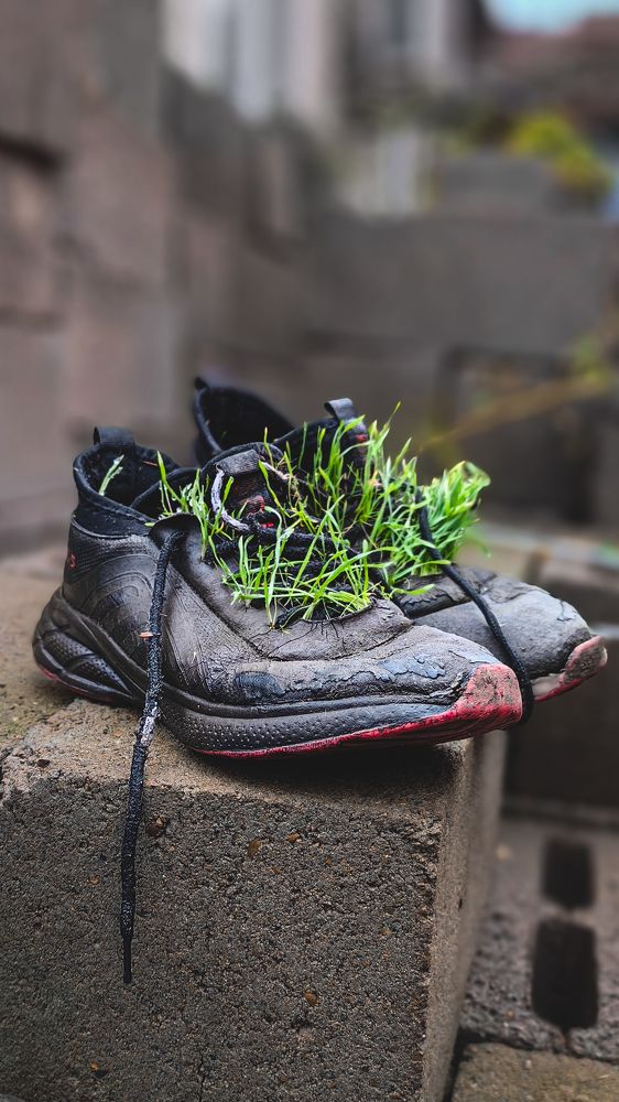 Photograph by Кристина Дугина