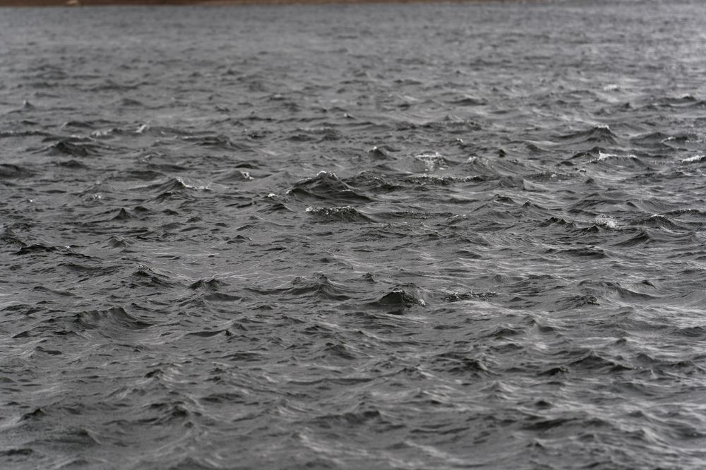 Photograph by Елена Николайчук