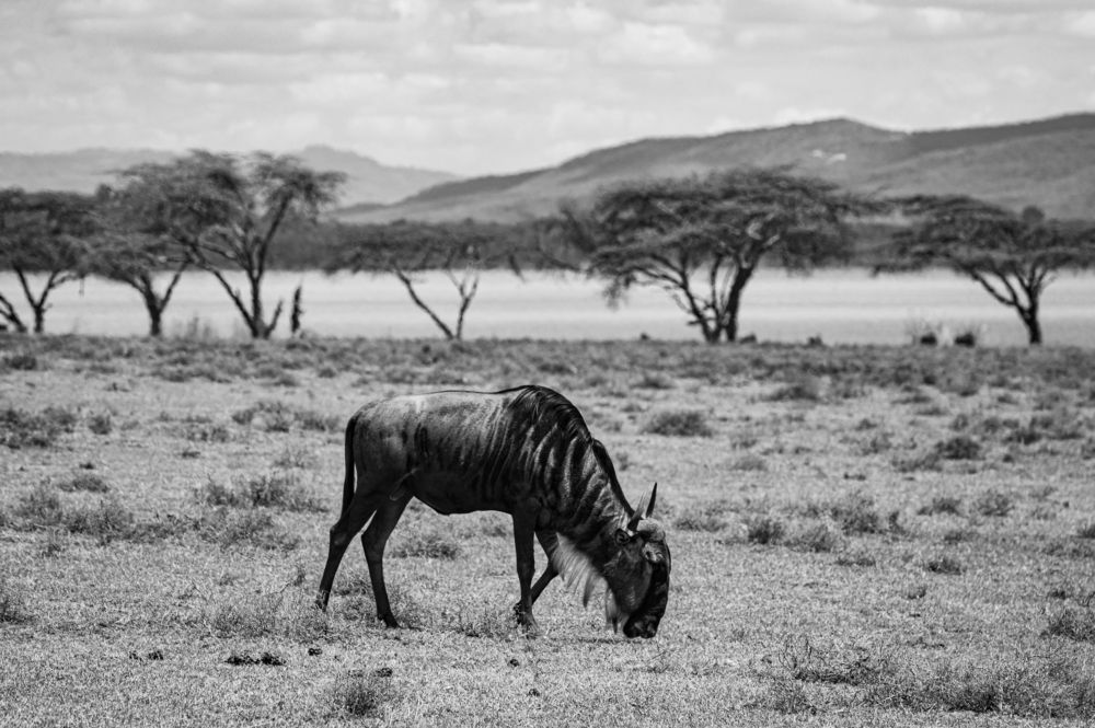 Photograph by Ismail Hassanaly