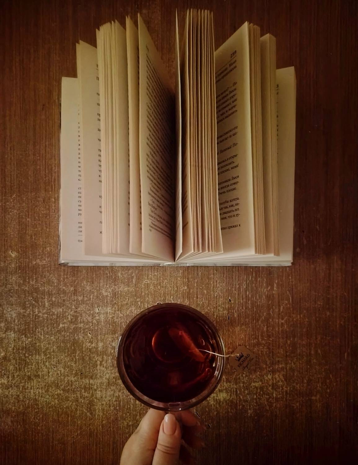 Photo #11497244