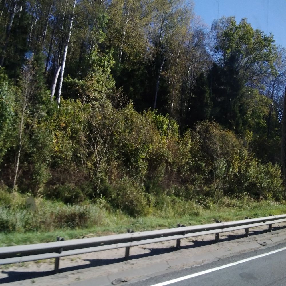 Photograph by Марта Васильева