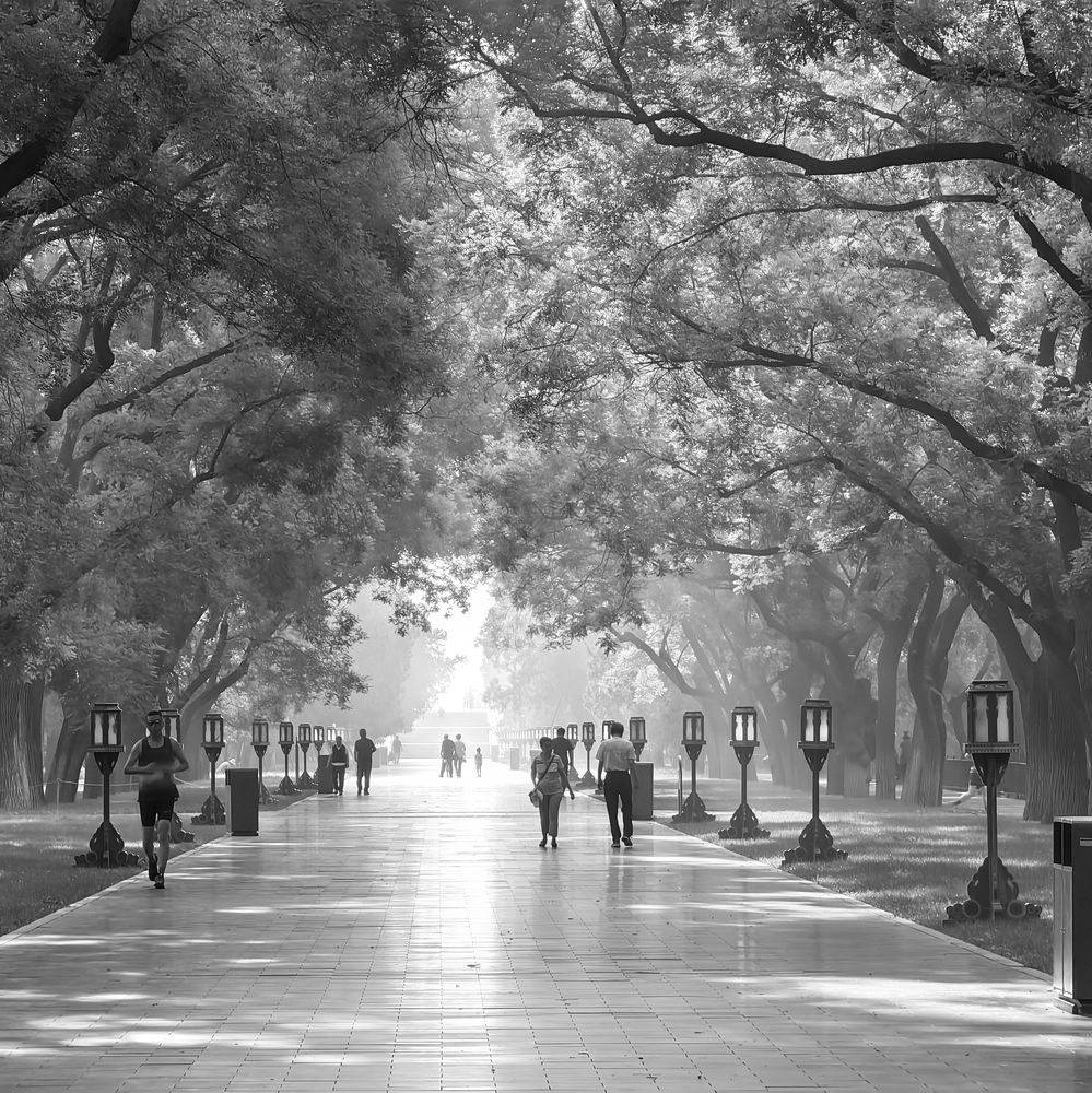 Photograph by Игорь Крыжко