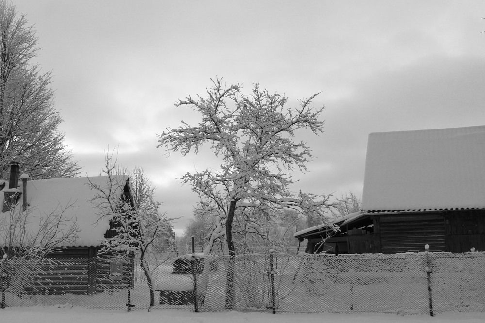 Photograph by Алла Бойко