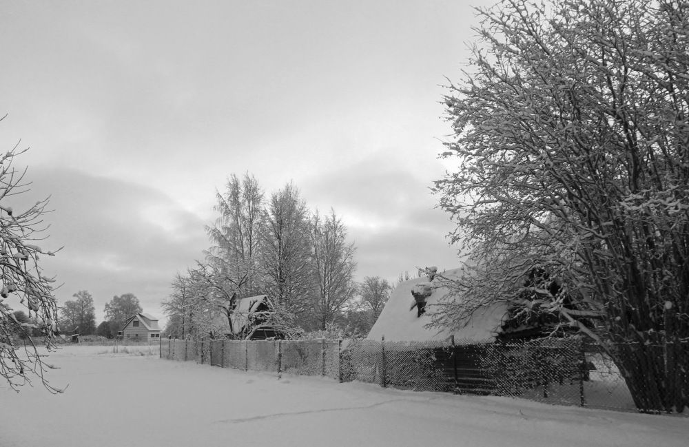 Photograph by Алла Бойко