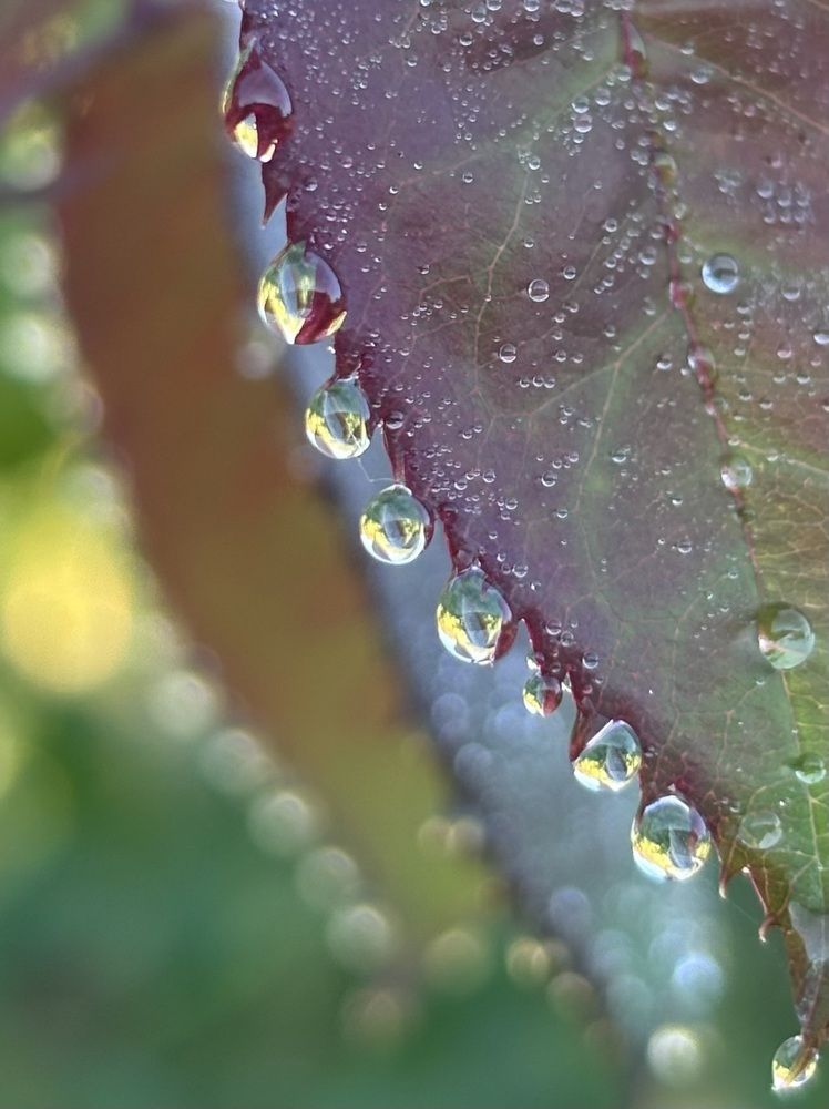 Photograph by Юлия