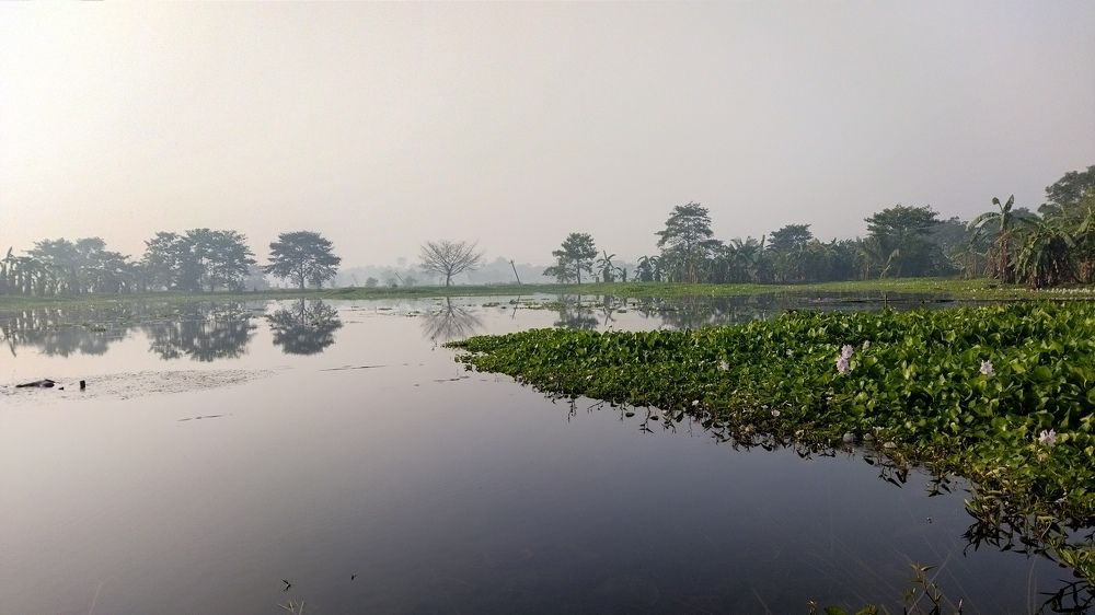 Photograph by Dr.Kajal Bakshi