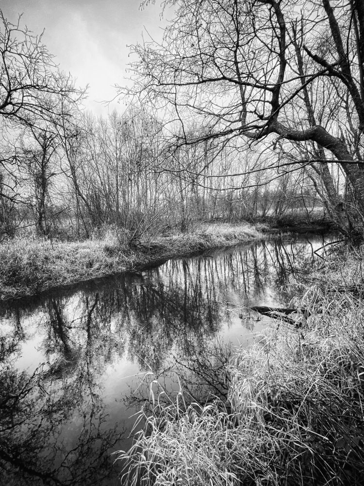 Photograph by Oksana Smorodina