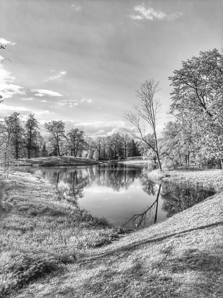 Photograph by Oksana Smorodina