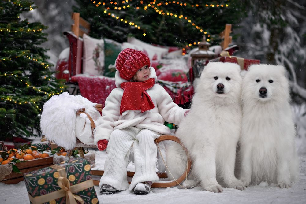 Photograph by Лилия Дергачева