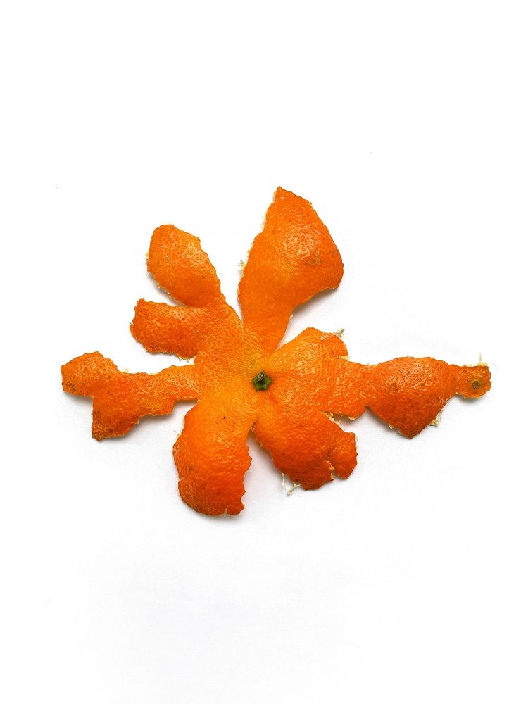 Photograph by Uladzimir Hvozd