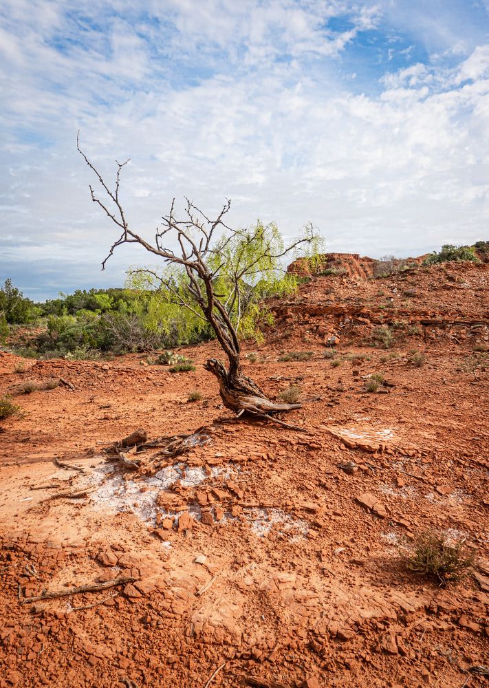 Photograph by Анатолий Костерев