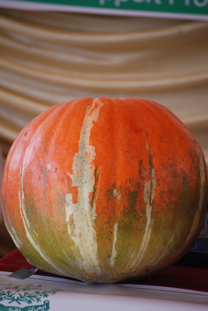 Photograph by Ishaq Karim