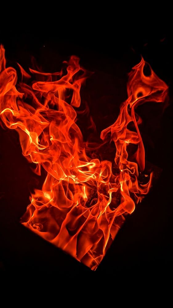 Фотография автора Васильева Ирина