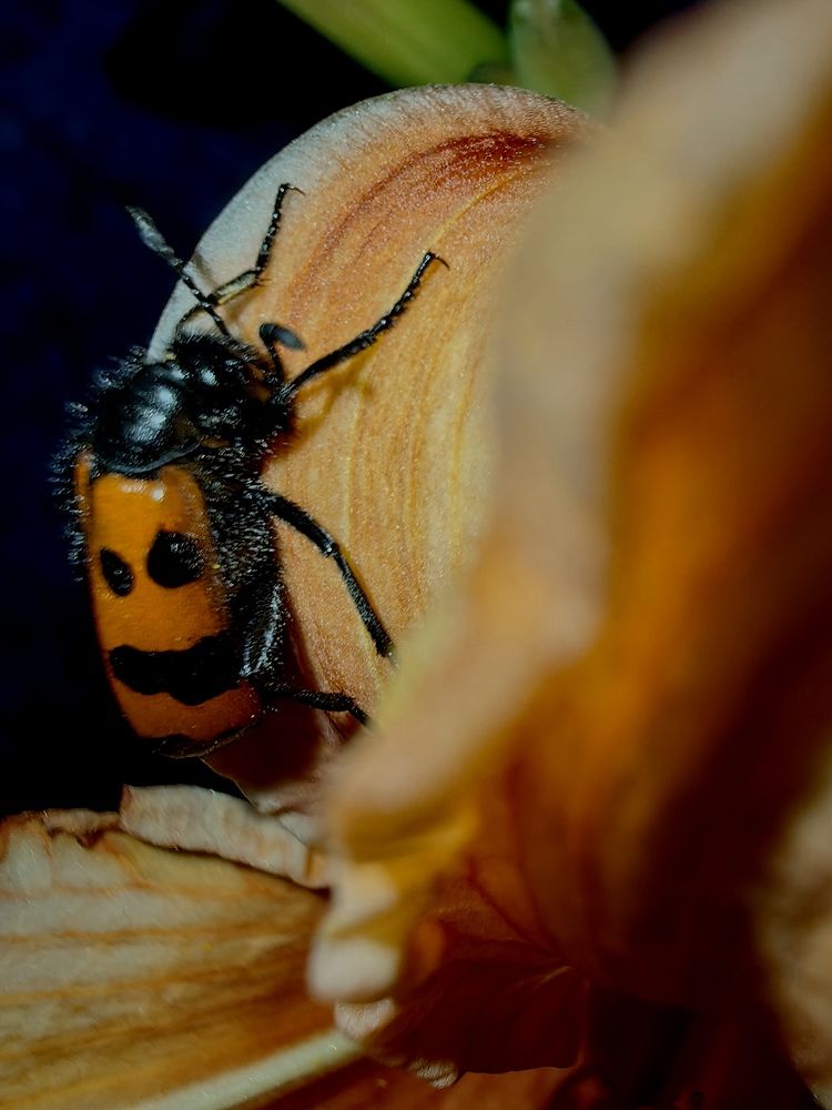 Photograph by Ирина Тихая