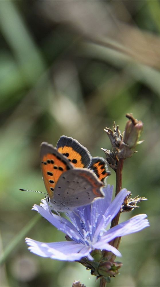 Photograph by Ирина Тихая