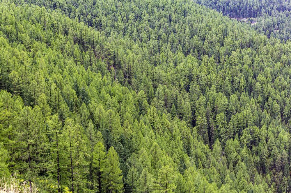 Photograph by Татьяна Раковская