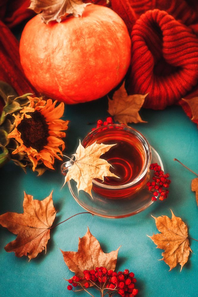 Фотография автора Альбина Кадочникова