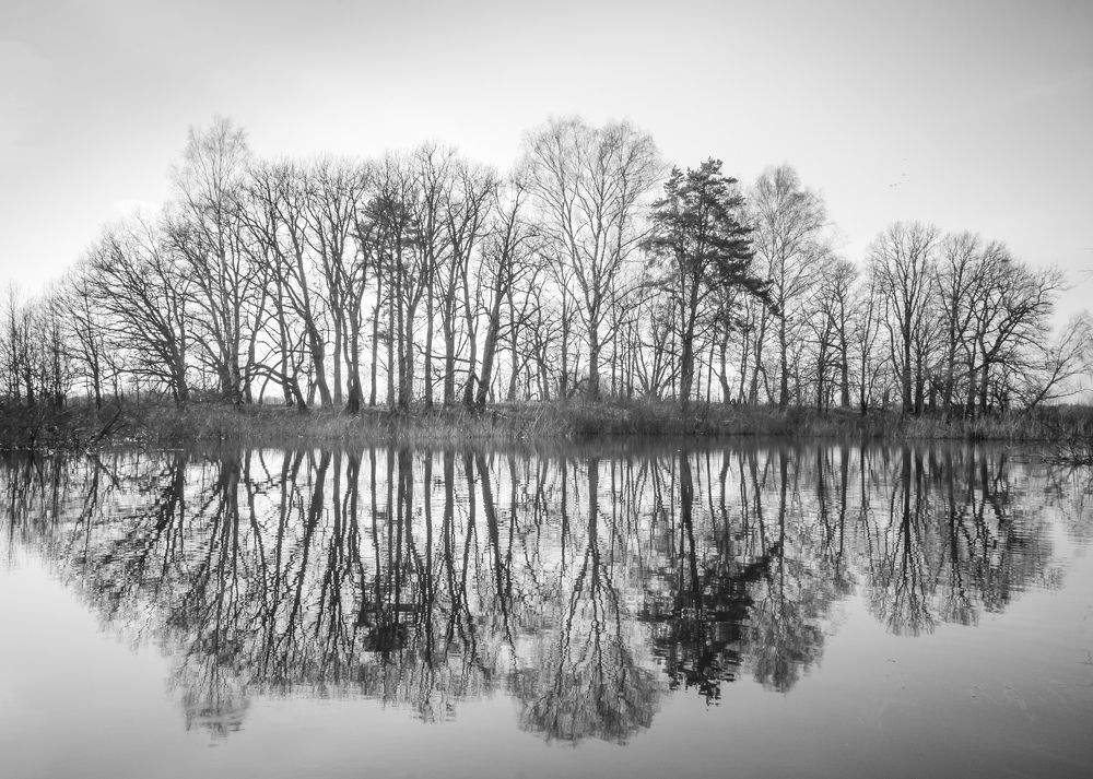 Photograph by Татьяна Романова