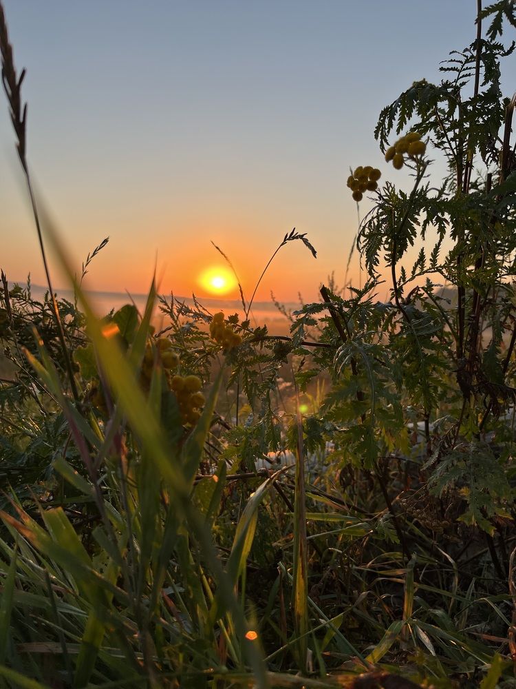 Photograph by Ирина Ц